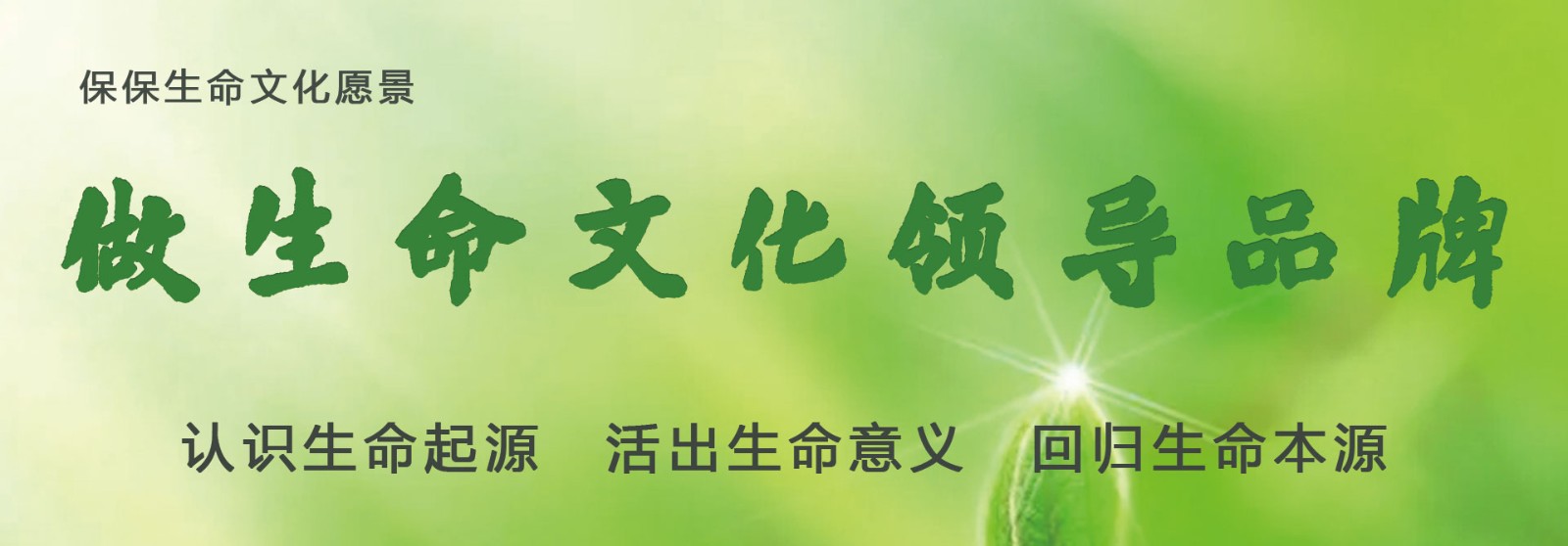 认识生命起源 绽放生命精彩 回归生命本源