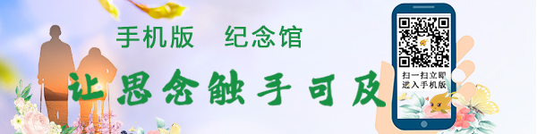 首页广告手机版本